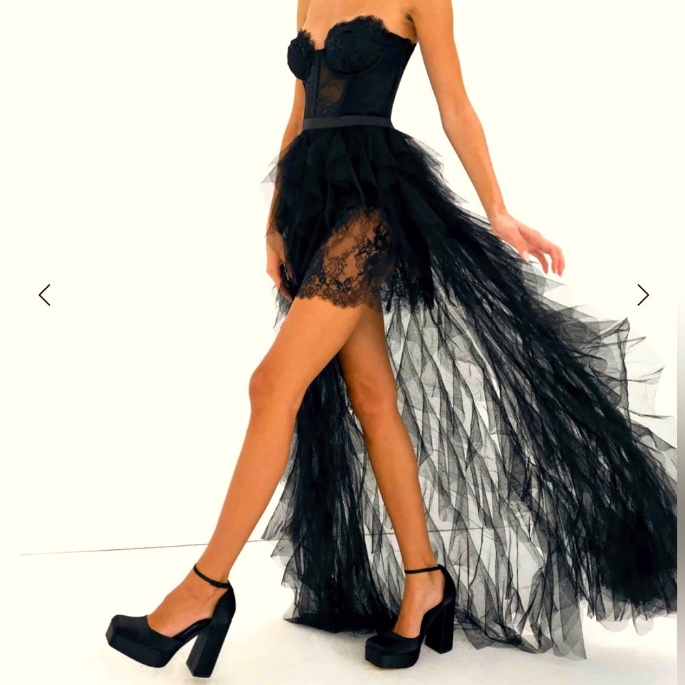 Stunning Bustier Gown For love and lemons